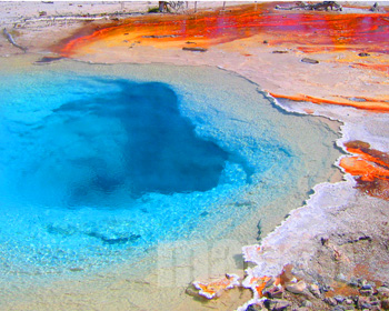 Yellowstone, Montana Photography