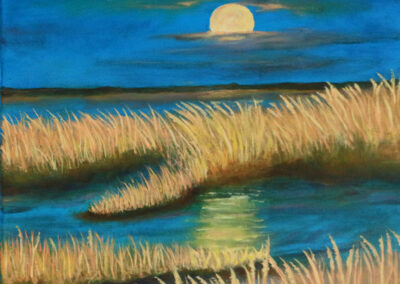 Landscape_Moonlight On Backbay